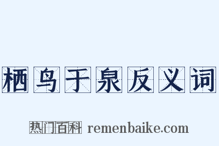 栖鸟于泉反义词是什么意思的图片